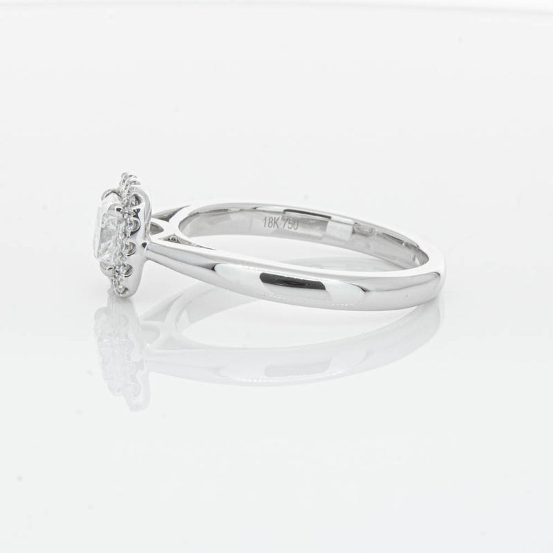 18ct White Gold .75ct Diamond Nina Ring-Ring-Walker & Hall