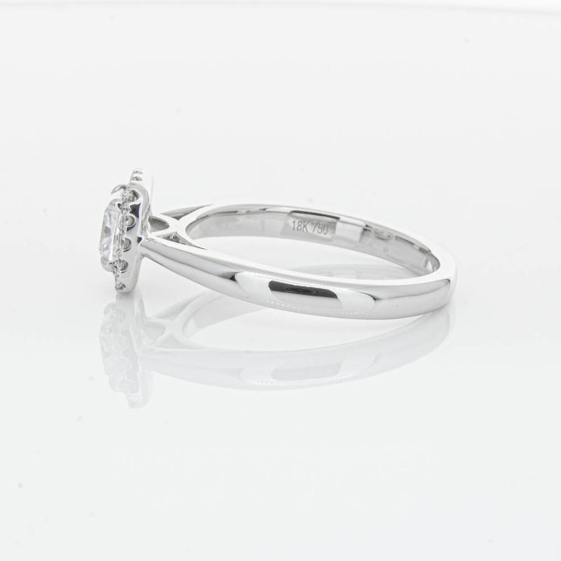18ct White Gold .75ct Diamond Nina Ring-Ring-Walker & Hall