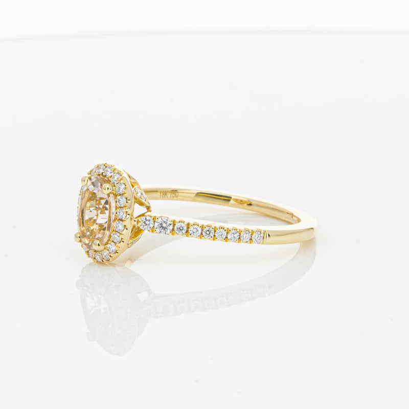 18ct Yellow Gold .68ct Morganite & Diamond Mini Sierra Ring-Ring-Walker & Hall