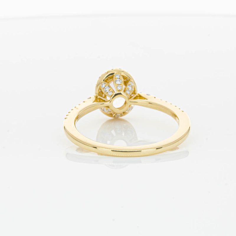 18ct Yellow Gold .68ct Morganite & Diamond Mini Sierra Ring-Ring-Walker & Hall