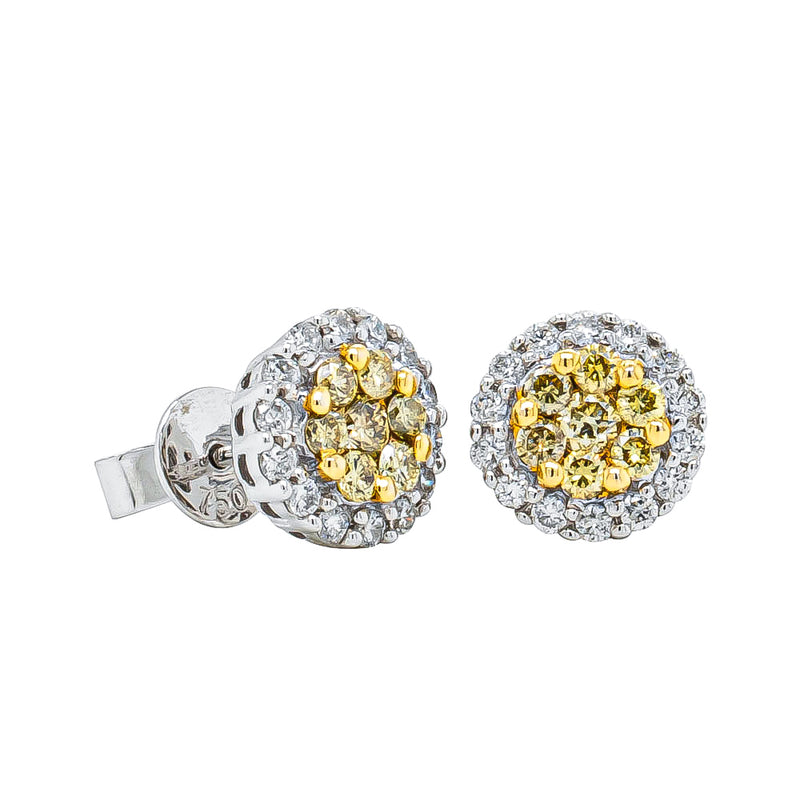 18ct White Gold Yellow Diamond Earrings-Earrings-Walker & Hall