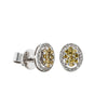 18ct White Gold Yellow Diamond Earrings-Earrings-Walker & Hall