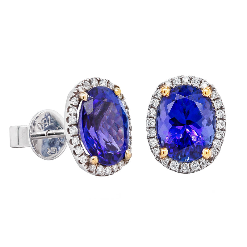 18ct White Gold 4.59ct Tanzanite & Diamond Halo Earrings-Earrings-Walker & Hall