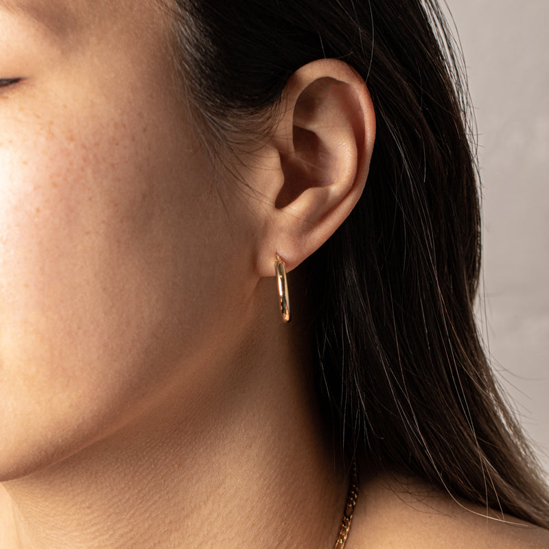 9ct Yellow Gold Medium Hoop Earrings-Earrings-Walker & Hall