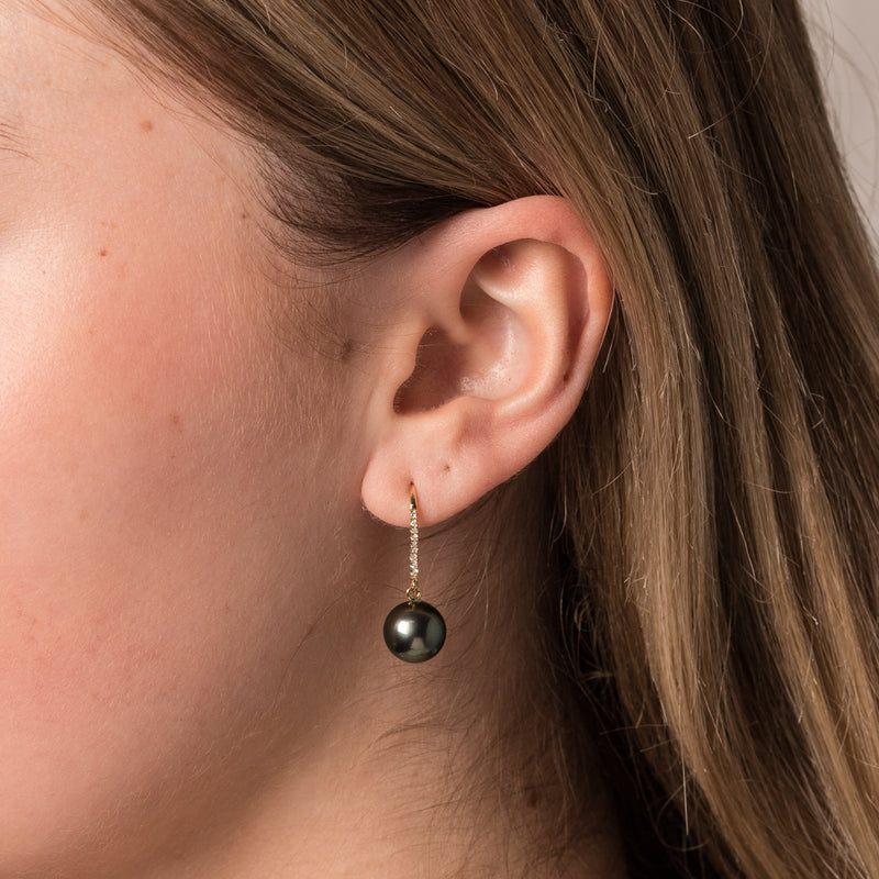 18ct Yellow Gold Tahitian Black Pearl & Diamond Earrings-Earrings-Walker & Hall