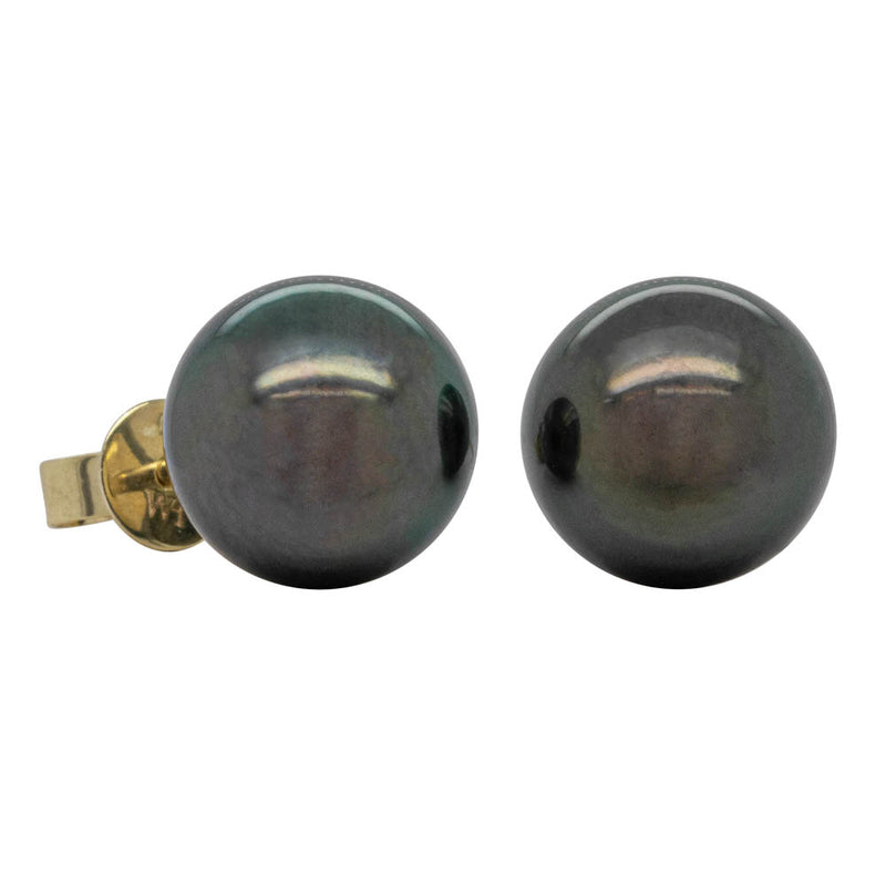 9ct Yellow Gold Tahitian Pearl Stud Earrings-Earrings-Walker & Hall