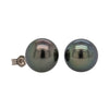 18ct White Gold Tahitian Pearl Stud Earrings-Earrings-Walker & Hall