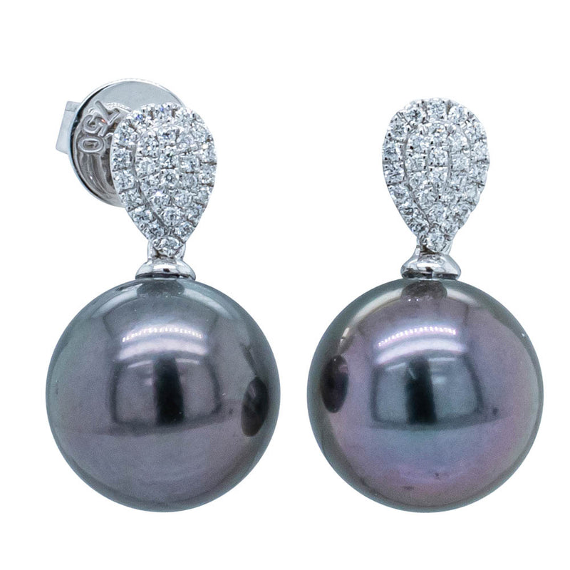 18ct White Gold Tahitian Pearl & Diamond Aegean Earrings-Earrings-Walker & Hall