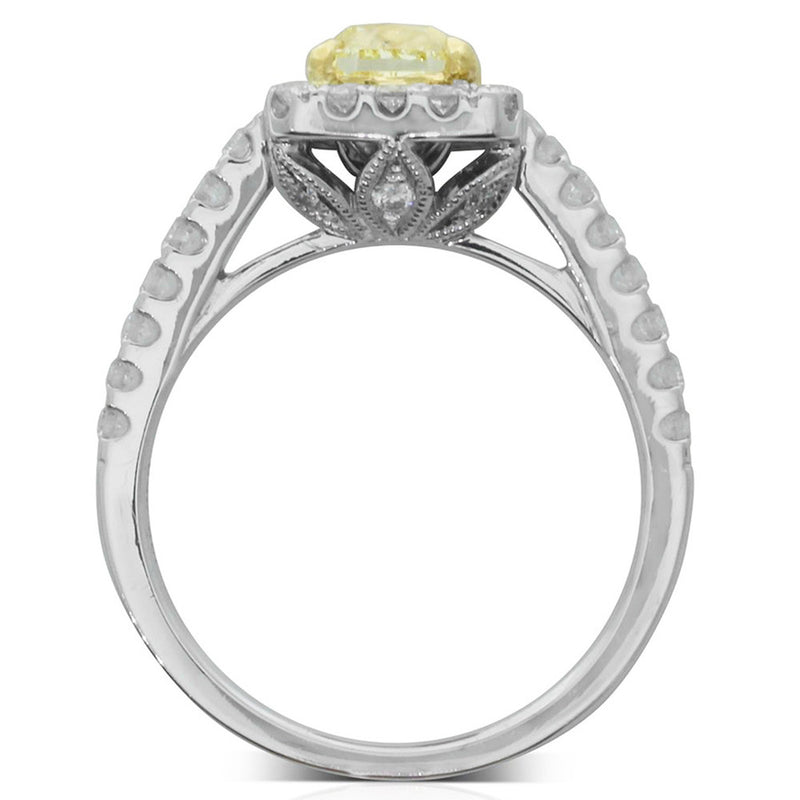 18ct White Gold Yellow Diamond Halo Ring-Ring-Walker & Hall
