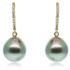 18ct Yellow Gold Tahitian Black Pearl & Diamond Earrings-Earrings-Walker & Hall