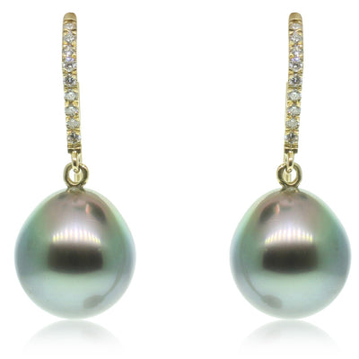 18ct Yellow Gold Tahitian Black Pearl & Diamond Earrings-Earrings-Walker & Hall