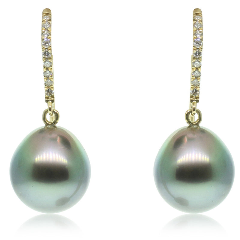 18ct Yellow Gold Tahitian Black Pearl & Diamond Earrings-Earrings-Walker & Hall
