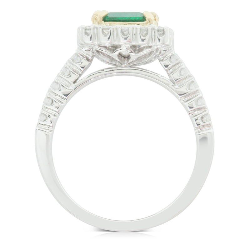 18ct White Gold Emerald & Diamond Halo Ring-Ring-Walker & Hall