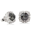 18ct White Gold 3.70ct Black Diamonds Halo Stud Earrings-Earrings-Walker & Hall